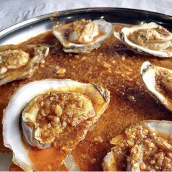 Steam Oyster