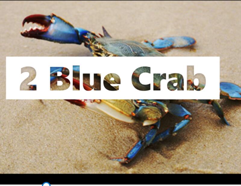 Piece Blue Crab