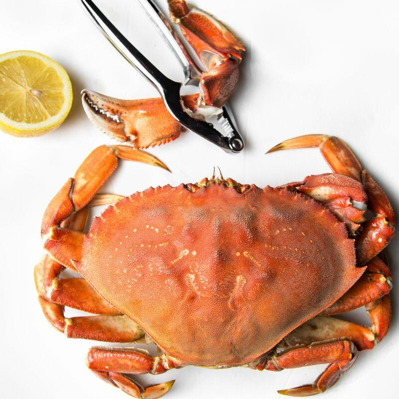 dungeness crab