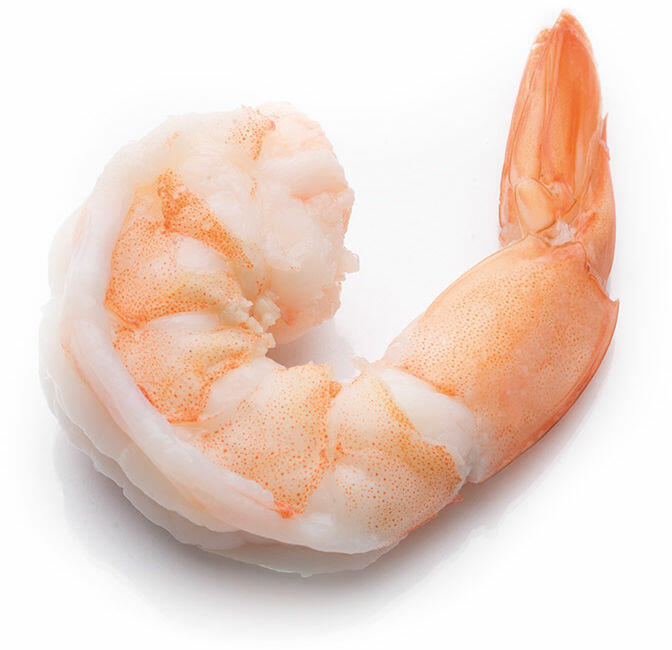 headless shrimp