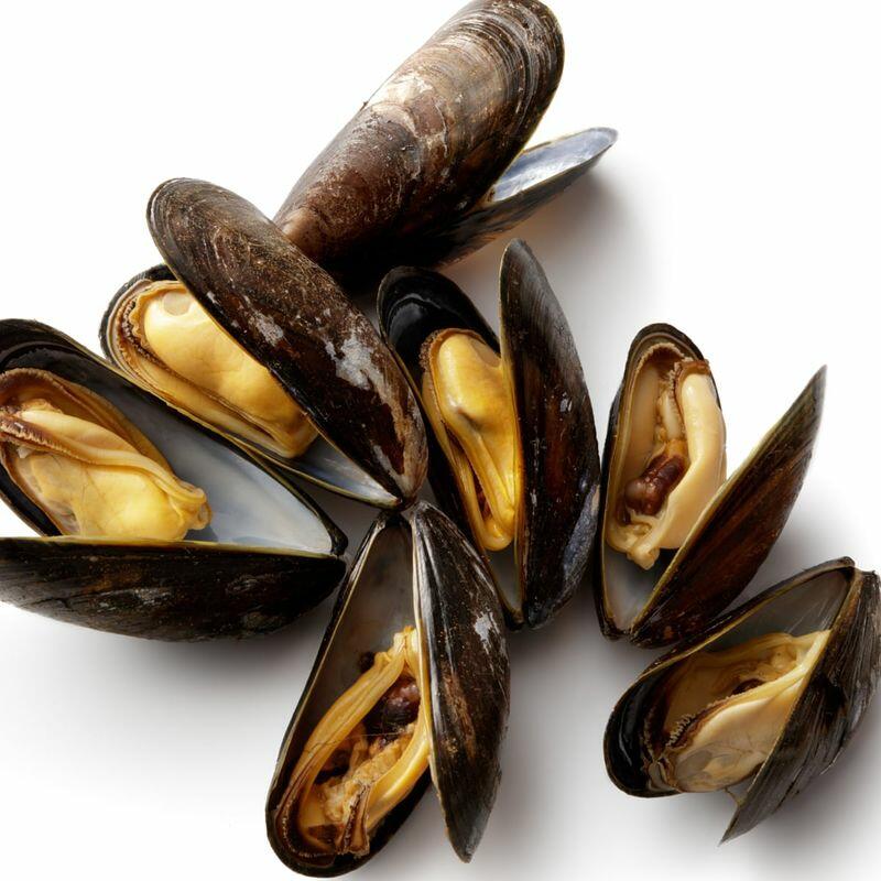 Black Mussel