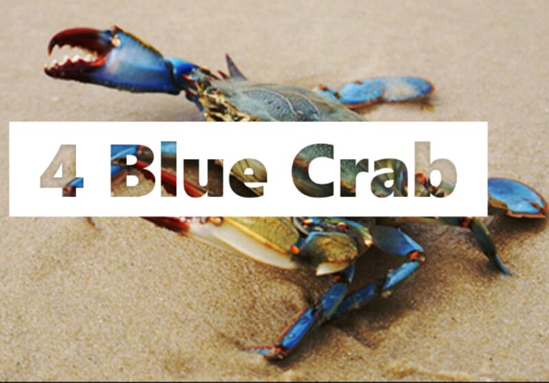 Piece Blue Crab